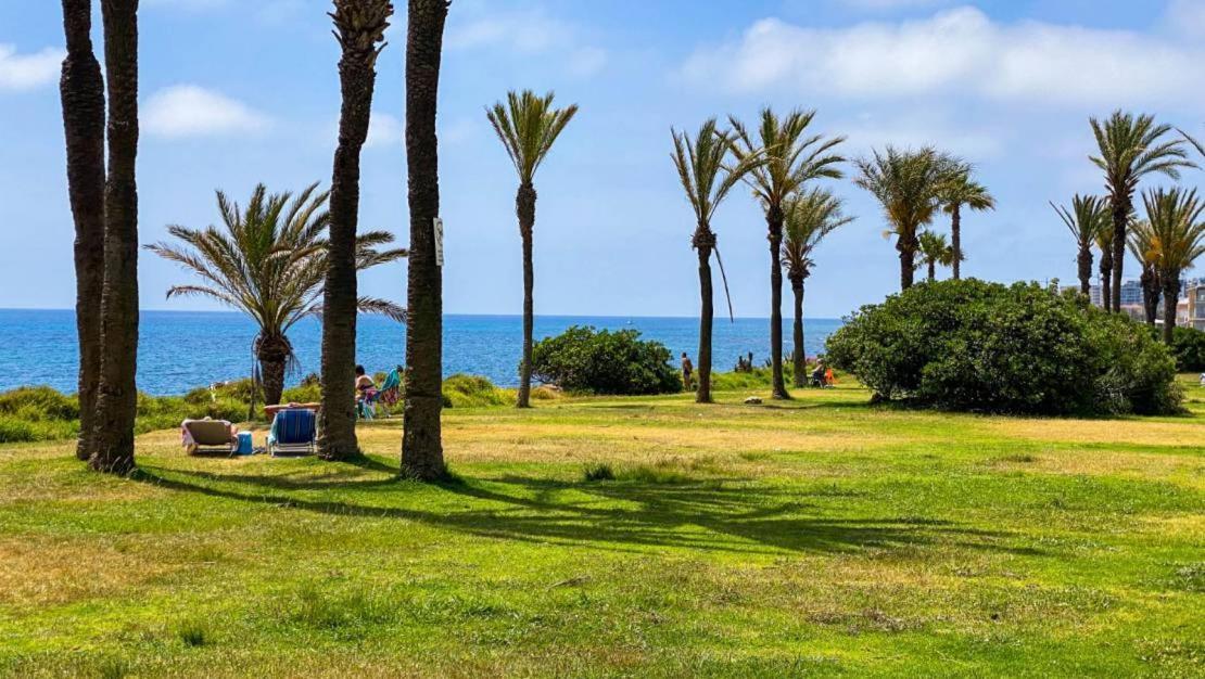 Apartamento Villa Amalia Torrevieja Eksteriør bilde
