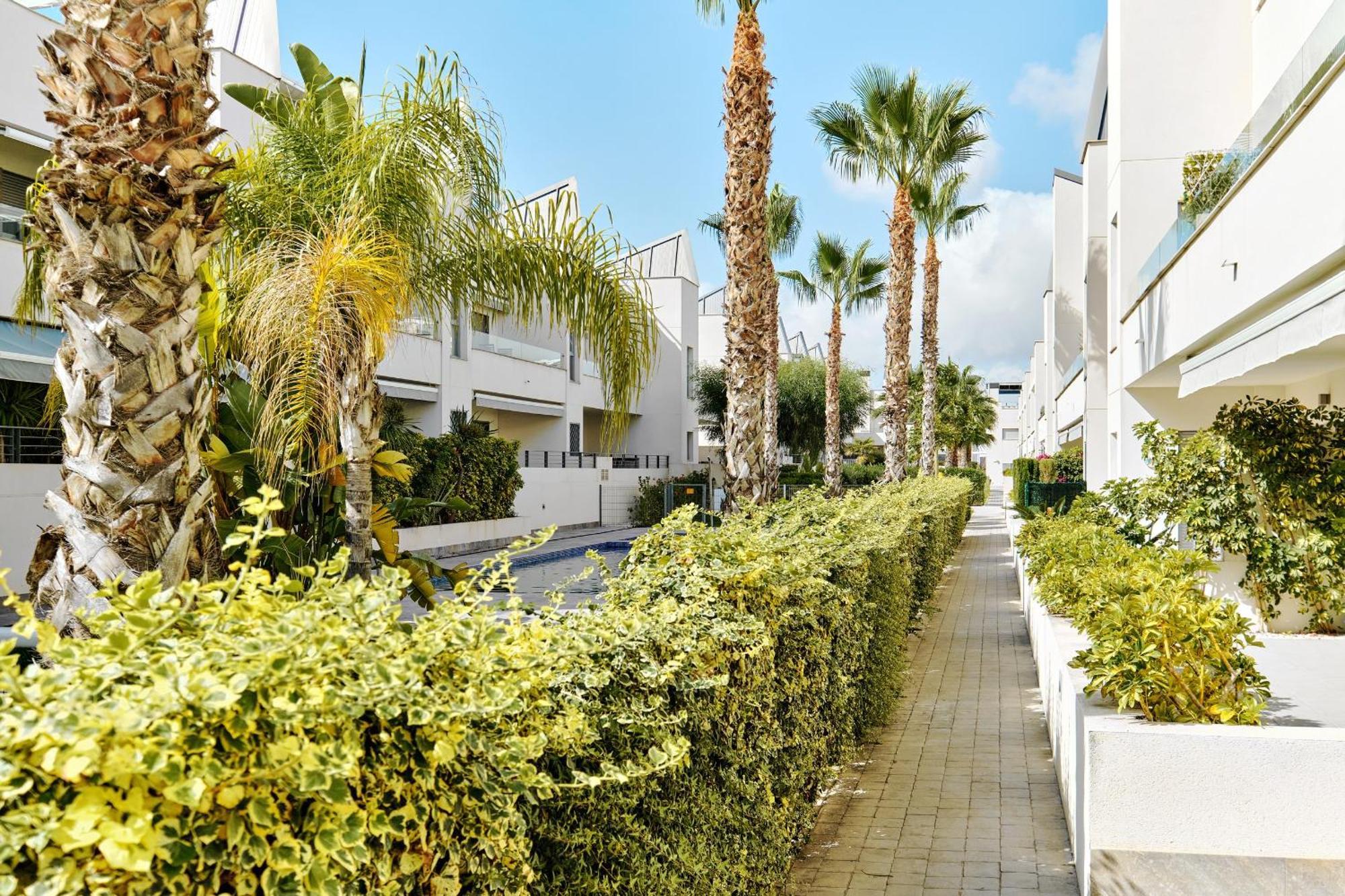 Apartamento Villa Amalia Torrevieja Eksteriør bilde